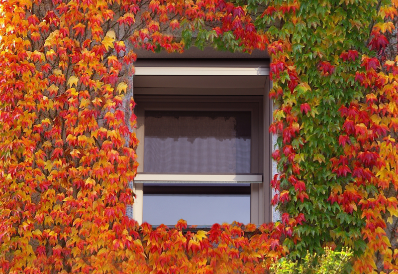 Mosquito Screens for Doors and Windows